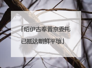 绍伊古奉普京委托已抵达朝鲜平壤