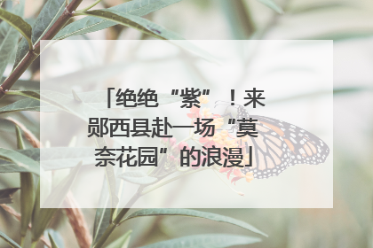 绝绝“紫”！来郧西县赴一场“莫奈花园”的浪漫