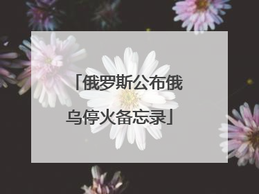 俄罗斯公布俄乌停火备忘录