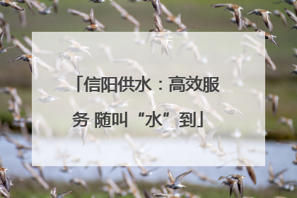 信阳供水：高效服务 随叫“水”到