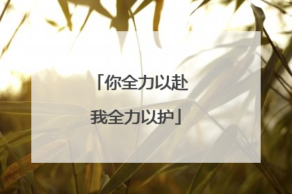 你全力以赴 我全力以护