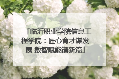 临沂职业学院信息工程学院：匠心育才谋发展 数智赋能谱新篇