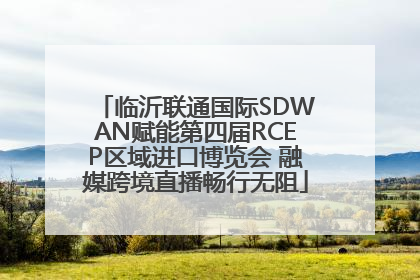 临沂联通国际SDWAN赋能第四届RCEP区域进口博览会 融媒跨境直播畅行无阻
