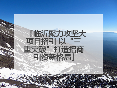 临沂聚力攻坚大项目招引 以“三重突破”打造招商引资新格局