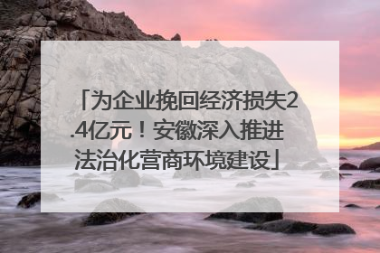 为企业挽回经济损失2.4亿元！安徽深入推进法治化营商环境建设
