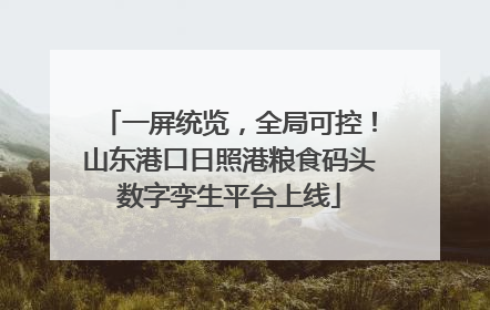 一屏统览，全局可控！山东港口日照港粮食码头数字孪生平台上线