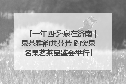 一年四季·泉在济南｜泉茶雅韵共芬芳 趵突泉名泉茗茶品鉴会举行