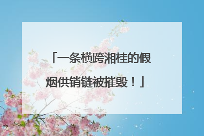 一条横跨湘桂的假烟供销链被摧毁！