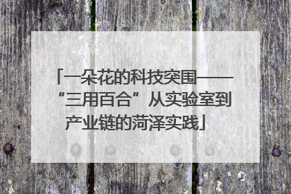 一朵花的科技突围——“三用百合”从实验室到产业链的菏泽实践