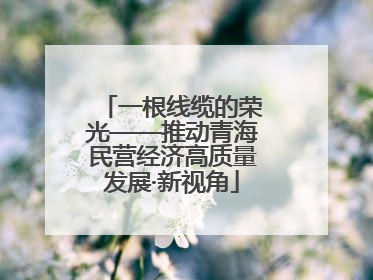 一根线缆的荣光——推动青海民营经济高质量发展·新视角