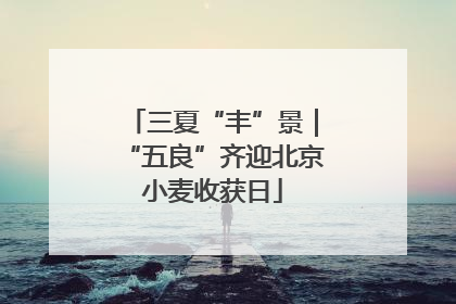 三夏“丰”景｜“五良”齐迎北京小麦收获日