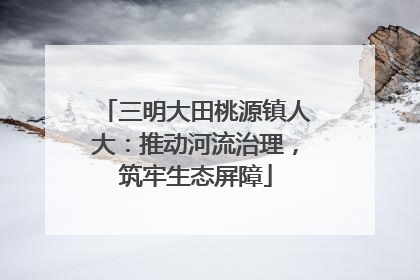 三明大田桃源镇人大：推动河流治理，筑牢生态屏障