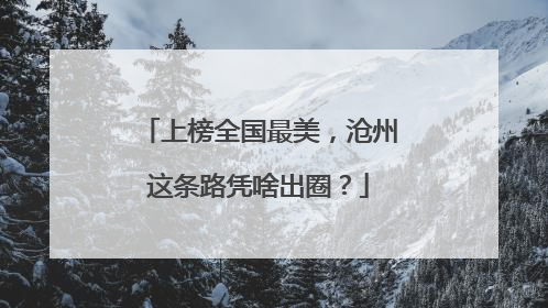 上榜全国最美，沧州这条路凭啥出圈？