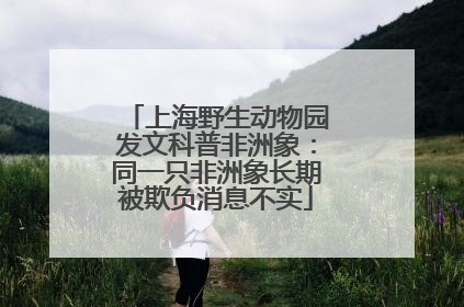 上海野生动物园发文科普非洲象：同一只非洲象长期被欺负消息不实