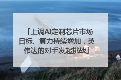 上调AI定制芯片市场目标、算力持续增加，英伟达的对手发起挑战