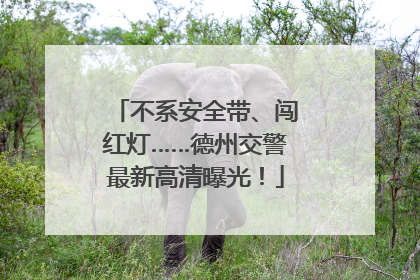 不系安全带、闯红灯……德州交警最新高清曝光！