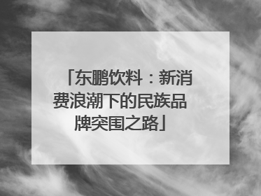 东鹏饮料:新消费浪潮下的民族品牌突围之路