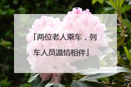 两位老人乘车，列车人员温情相伴