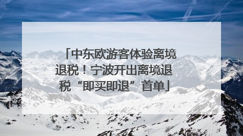 中东欧游客体验离境退税！宁波开出离境退税“即买即退”首单