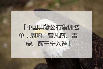 中国男篮公布集训名单，周琦、曾凡博、雷蒙、廖三宁入选