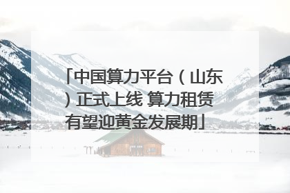 中国算力平台（山东）正式上线 算力租赁有望迎黄金发展期
