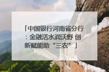 中国银行河南省分行：金融活水润沃野 创新赋能助“三农”