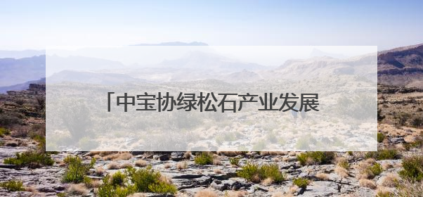 中宝协绿松石产业发展工作委员会在竹山成立