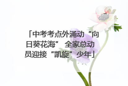 中考考点外涌动“向日葵花海” 全家总动员迎接“凯旋”少年