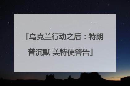 乌克兰行动之后：特朗普沉默 美特使警告