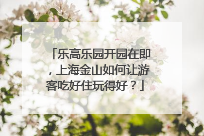 乐高乐园开园在即，上海金山如何让游客吃好住玩得好？