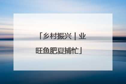 乡村振兴｜业旺鱼肥夏捕忙