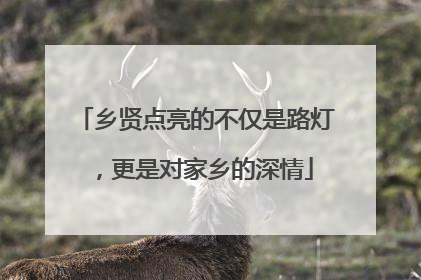 乡贤点亮的不仅是路灯，更是对家乡的深情