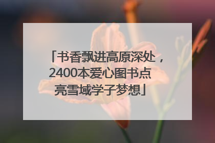 书香飘进高原深处，2400本爱心图书点亮雪域学子梦想