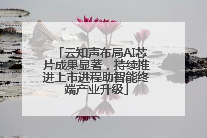云知声布局AI芯片成果显著，持续推进上市进程助智能终端产业升级