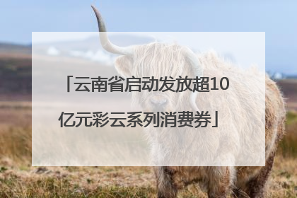 云南省启动发放超10亿元彩云系列消费券