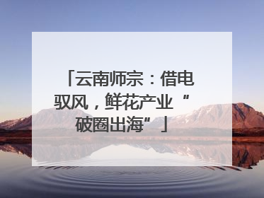 云南师宗：借电驭风，鲜花产业“破圈出海”