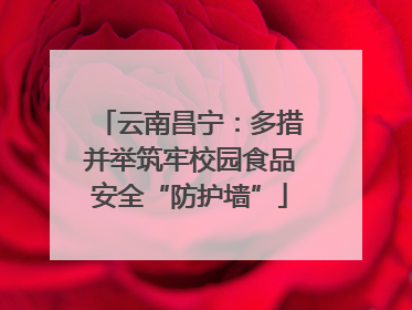 云南昌宁：多措并举筑牢校园食品安全“防护墙”