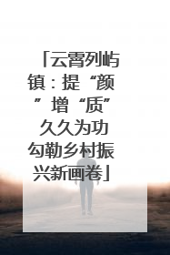 云霄列屿镇：提“颜”增“质” 久久为功勾勒乡村振兴新画卷