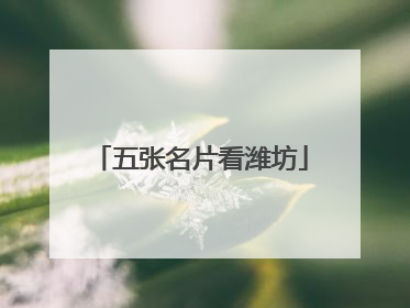 五张名片看潍坊