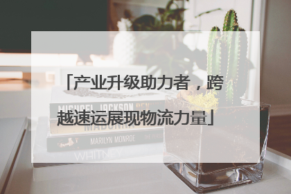 产业升级助力者，跨越速运展现物流力量