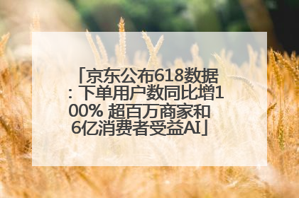 京东公布618数据：下单用户数同比增100% 超百万商家和6亿消费者受益AI