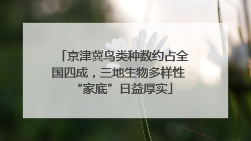 京津冀鸟类种数约占全国四成，三地生物多样性“家底”日益厚实
