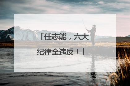任志能，六大纪律全违反！