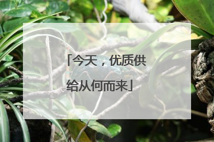 今天，优质供给从何而来