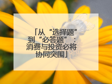 从“选择题”到“必答题”：消费与投资必将协同突围