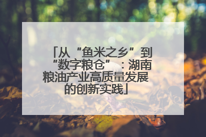 从“鱼米之乡”到“数字粮仓”：湖南粮油产业高质量发展的创新实践
