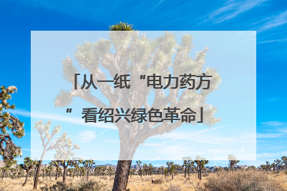 从一纸“电力药方”看绍兴绿色革命