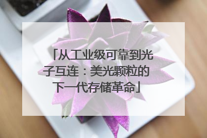 从工业级可靠到光子互连：美光颗粒的下一代存储革命