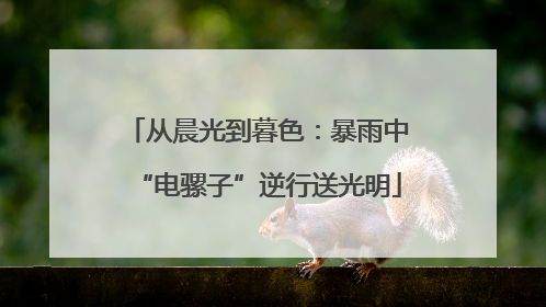 从晨光到暮色：暴雨中“电骡子”逆行送光明