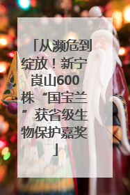 从濒危到绽放！新宁崀山600株“国宝兰”获省级生物保护嘉奖
